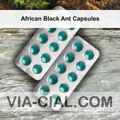 African Black Ant Capsules 944