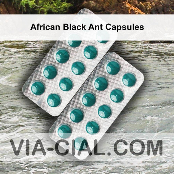 African Black Ant Capsules 944