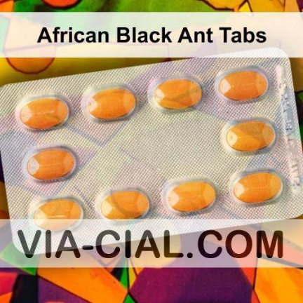 African Black Ant Tabs 590