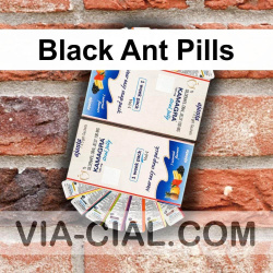 Black Ant