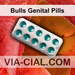 Bulls Genital