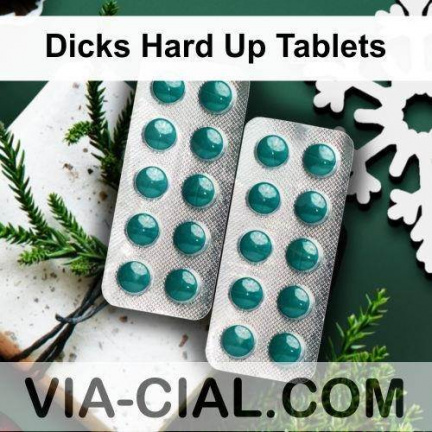 Dicks Hard Up Tablets 389