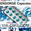 ENGORGE Capsules 902