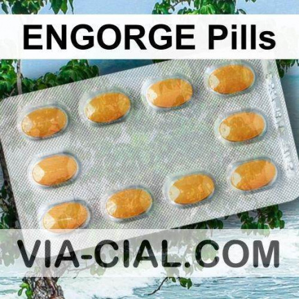 ENGORGE Pills 434