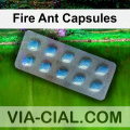 Fire Ant Capsules 896