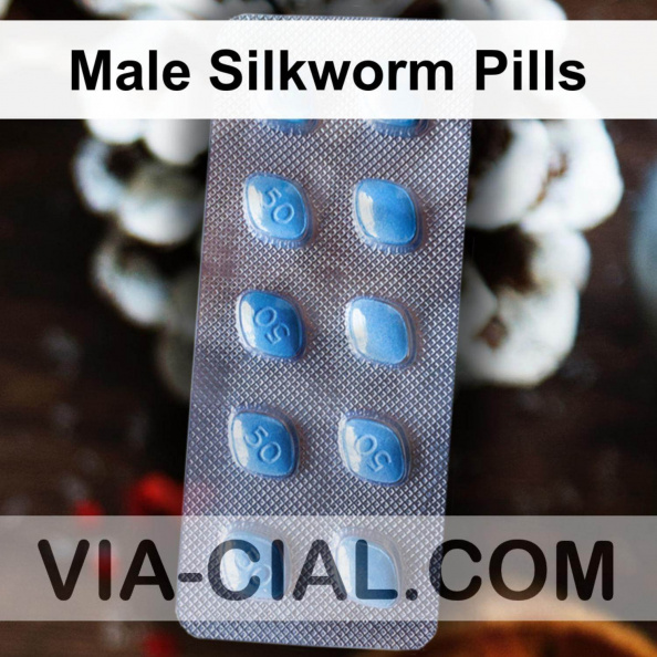 Male Silkworm Pills 160