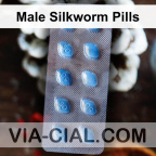 Male Silkworm Pills 160