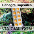 Penegra Capsules 463