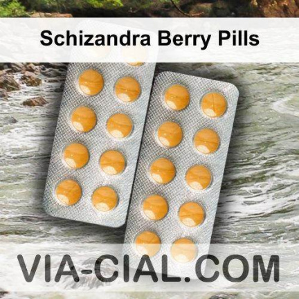 Schizandra Berry Pills 604