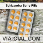 Schizandra Berry Pills 604
