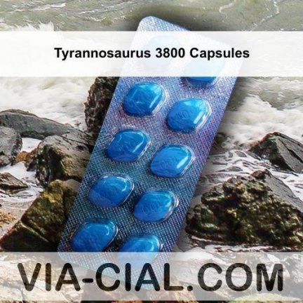 Tyrannosaurus 3800 Capsules 889