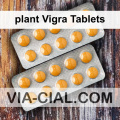 plant Vigra Tablets 093